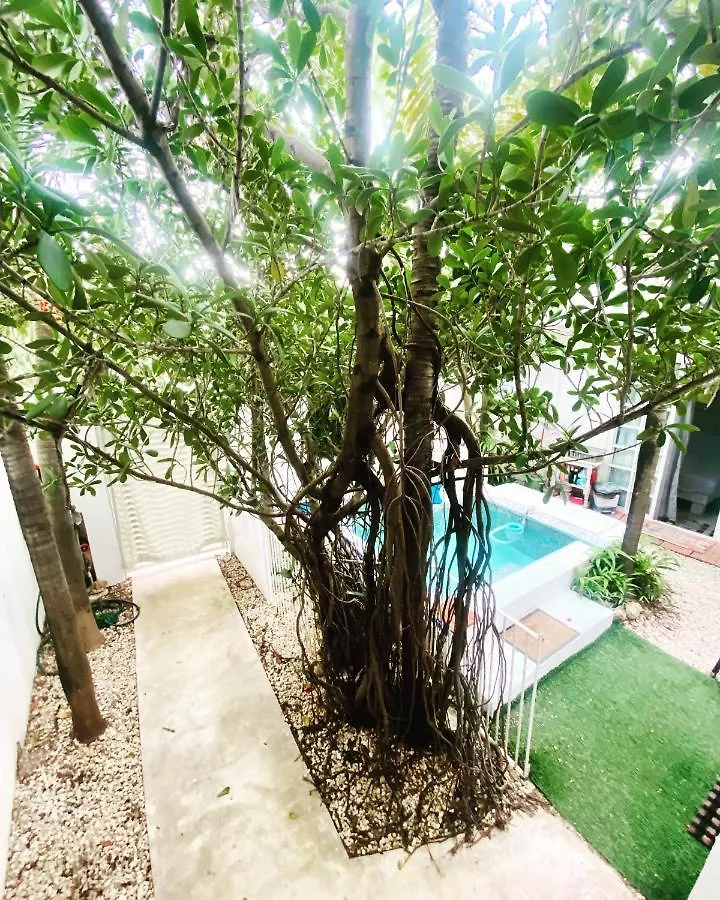 Cozy Tiny Studio Acasadialexplayadelcarmen Playa del Carmen Mexiko