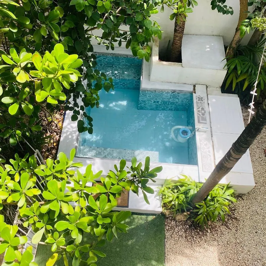 Apartment Cozy Tiny Studio Acasadialexplayadelcarmen Playa del Carmen